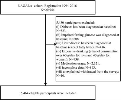 Associations between TyG-BMI and normal-high blood pressure values and hypertension: cross-sectional evidence from a non-diabetic population